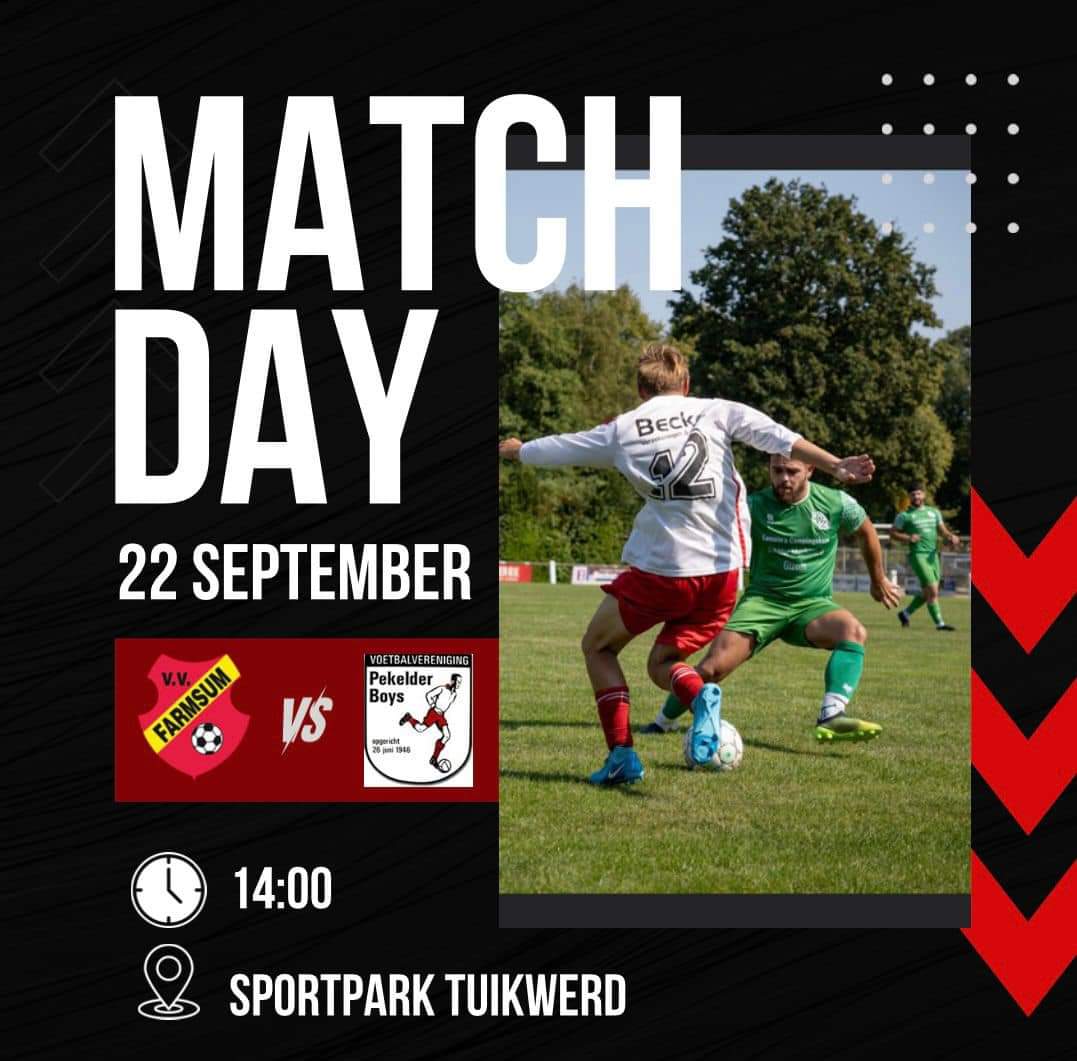 Artikel from season 2024-2025