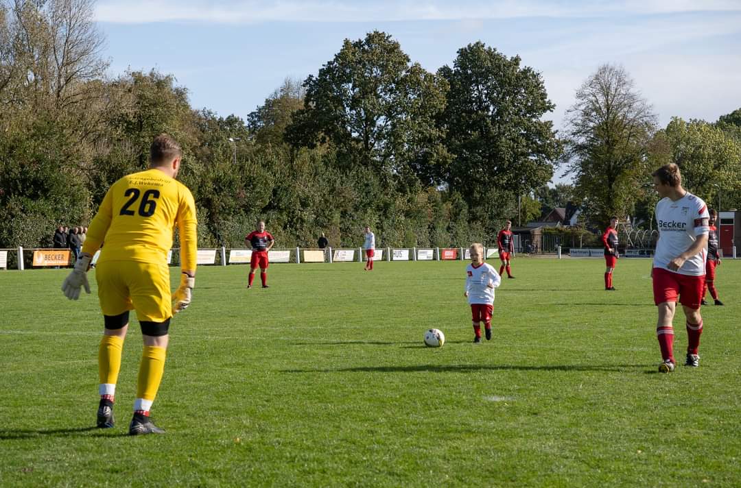 Artikel from season 2024-2025