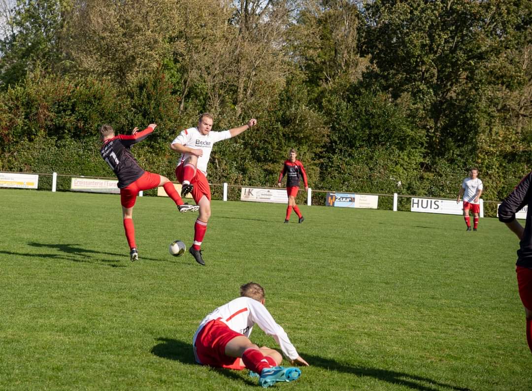 Artikel from season 2024-2025