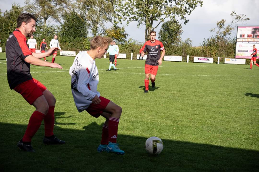 Artikel from season 2024-2025