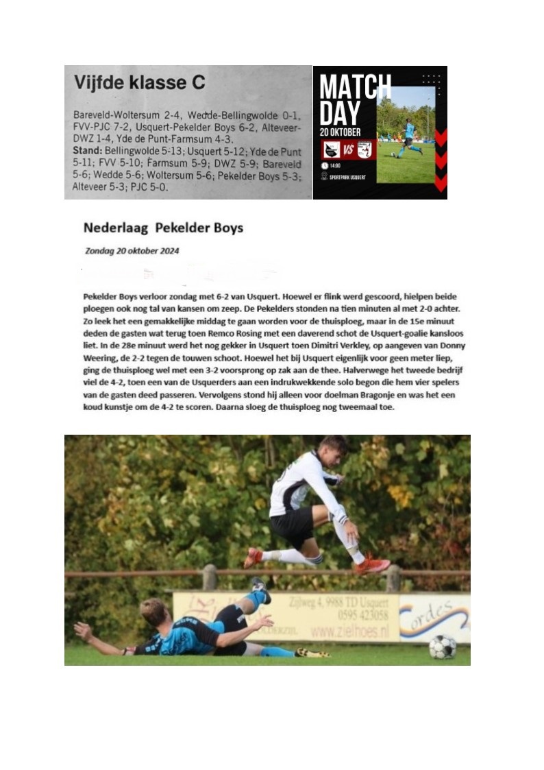 Artikel from season 2024-2025