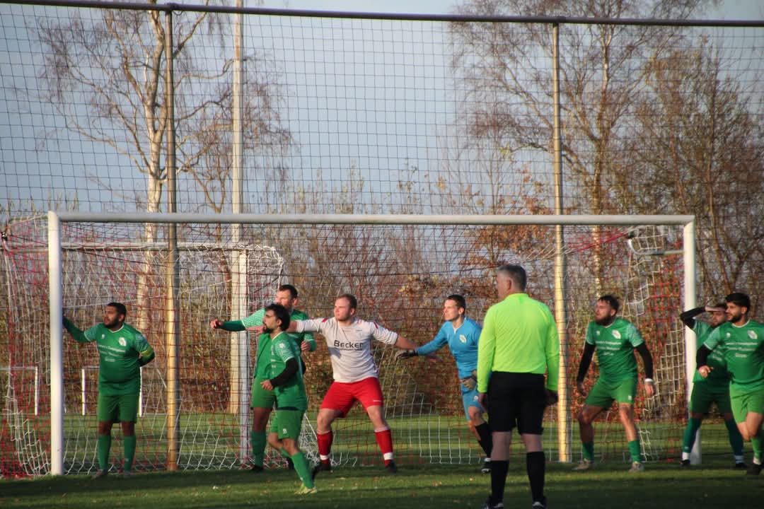 Artikel from season 2024-2025