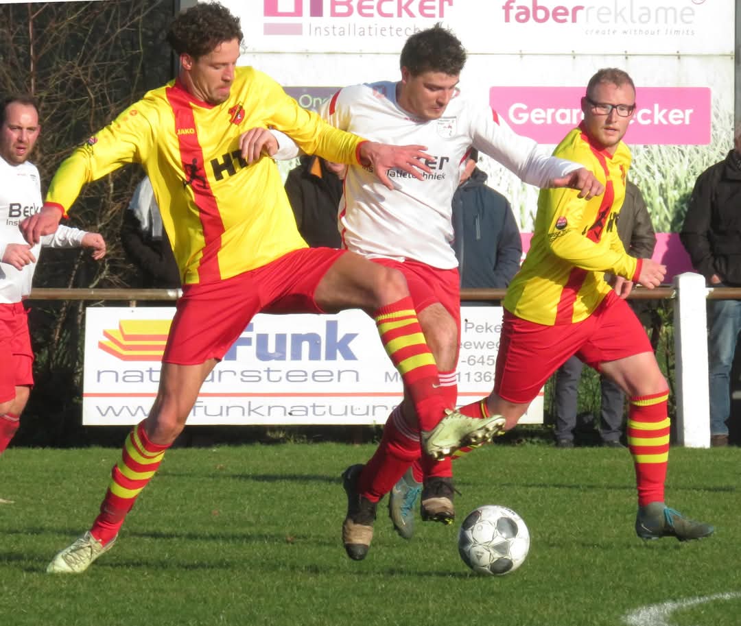 Artikel from season 2024-2025