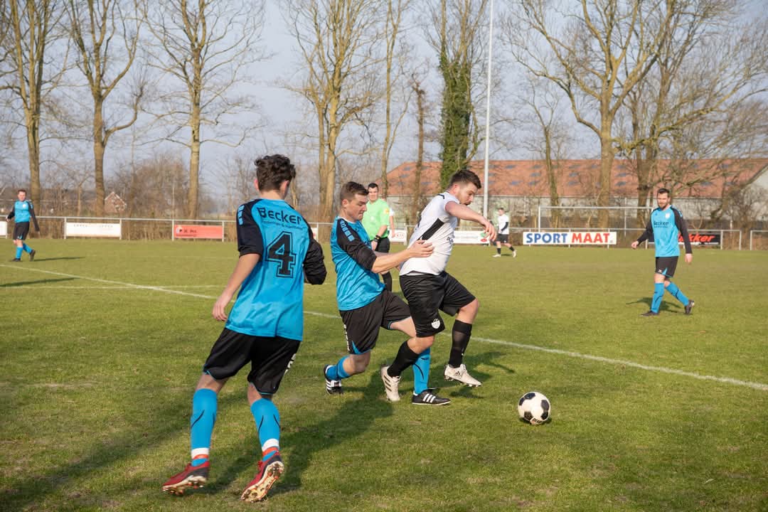 Artikel from season 2024-2025