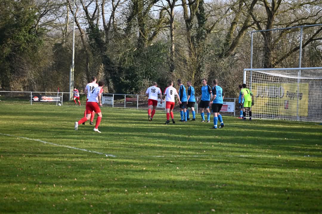 Artikel from season 2024-2025