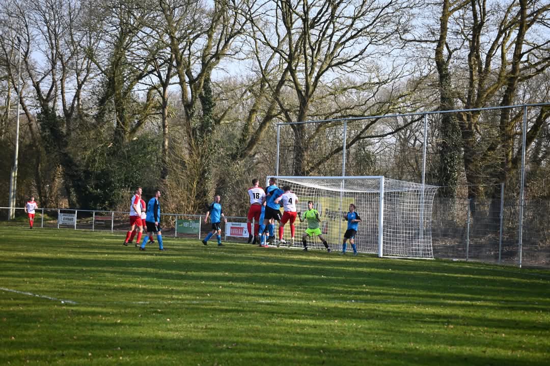 Artikel from season 2024-2025